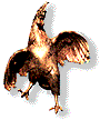 Coq de la grille du parc du palais de l'Elysée