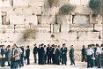Visite en Israël