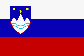 Drapeau de la R�publique de Slovaquie
